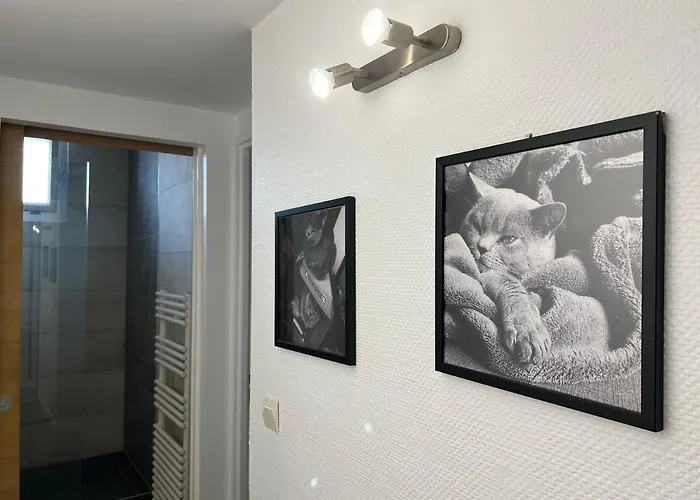 Above Eiffel Tower View Balcony Apartment